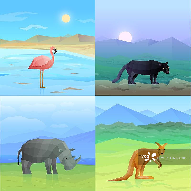 动物背景素材：包含野生动物和鸟类的彩色多边形背景图案图片素材