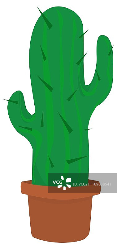 花盆里的仙人掌图片素材