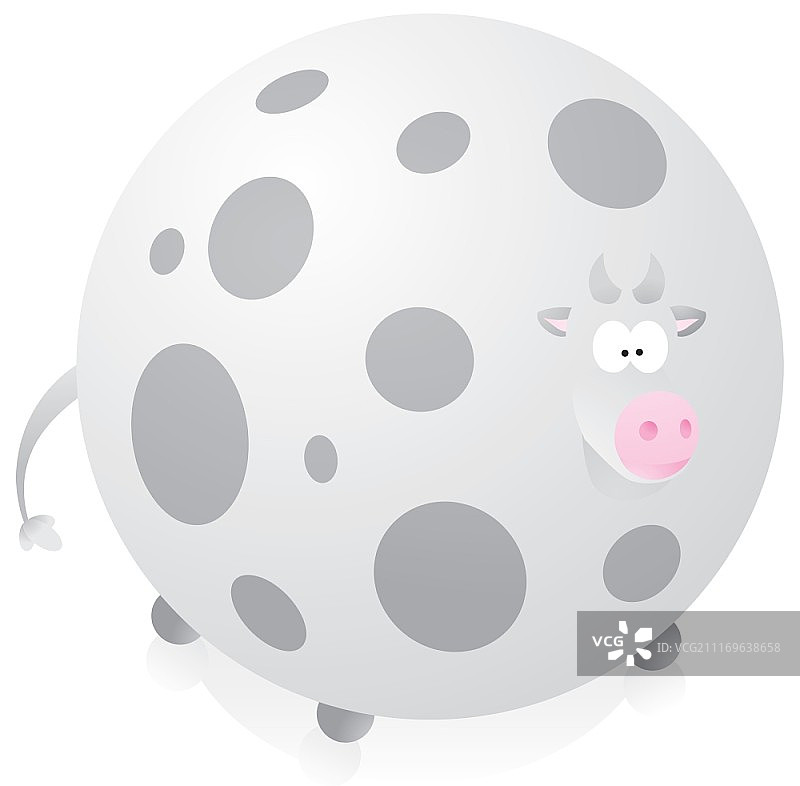 肥大的奶牛图片素材