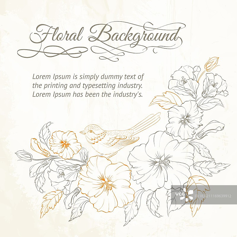 栖息在芙蓉树枝上的鸟，矢量插画图片素材