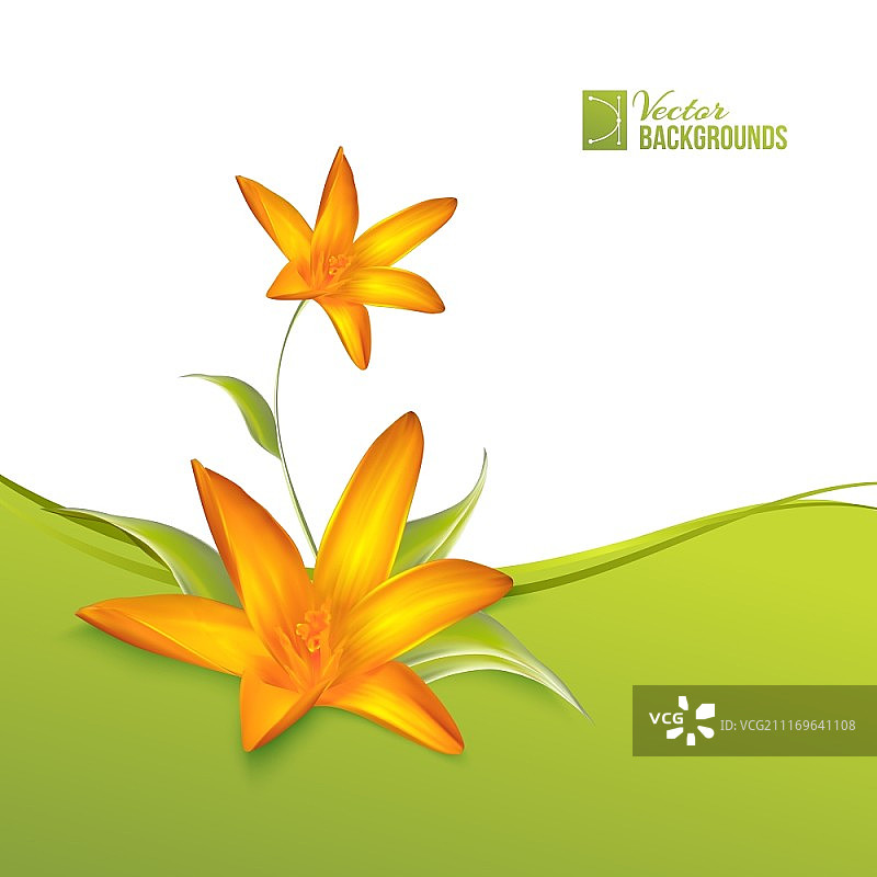 用于卡片设计的番红花春季花束矢量素材图片素材