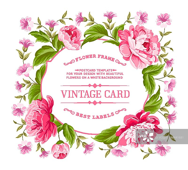 用于邀请函的复古花卉卡片模板。矢量图。图片素材