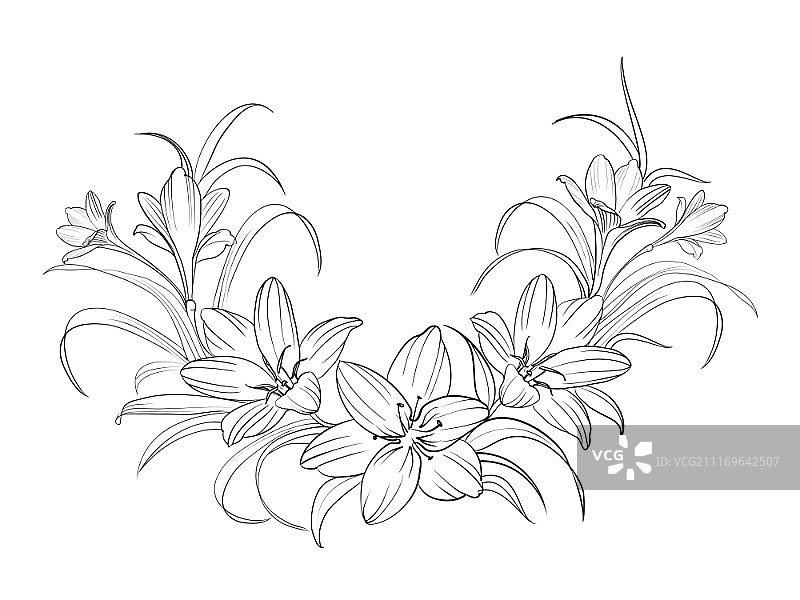 白色背景中分离的番红花，矢量图图片素材