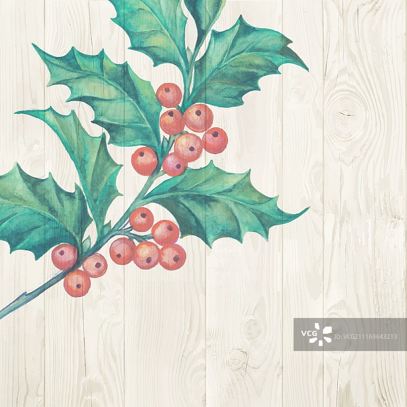 圣诞节槲寄生树枝，隔离在木制背景上，矢量图图片素材