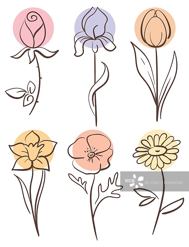 花卉集合图片素材