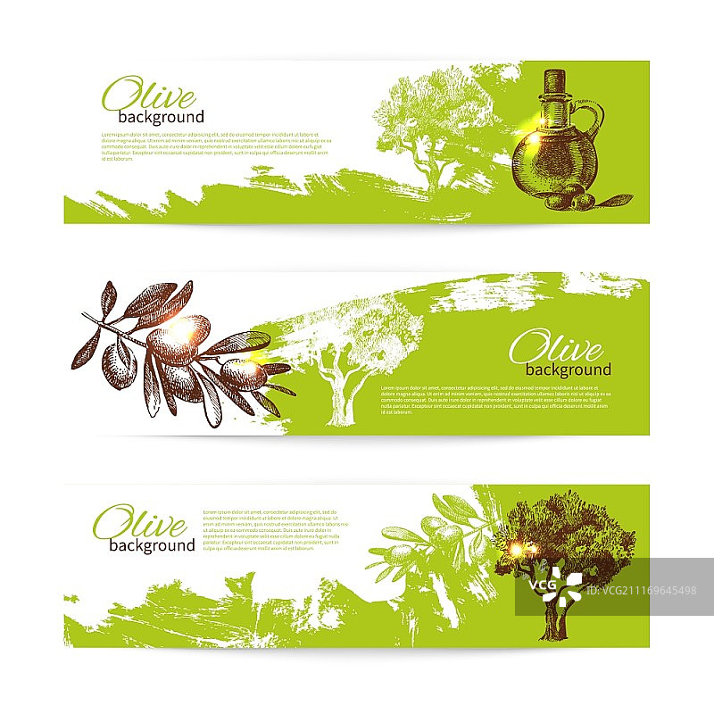 复古橄榄背景banner图片素材