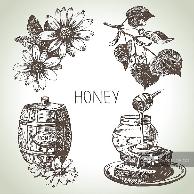 蜂蜜套装。手绘复古插图图片素材