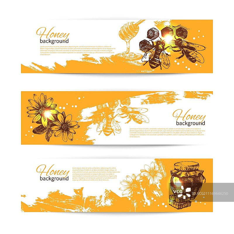 手绘蜂蜜横幅合集图片素材
