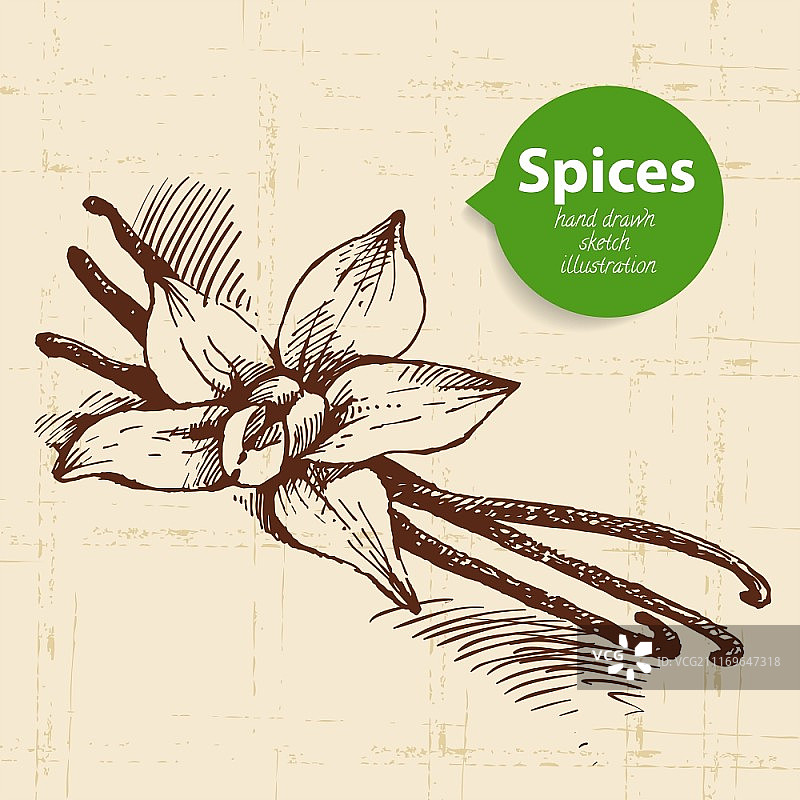 厨房香草和香料图片素材