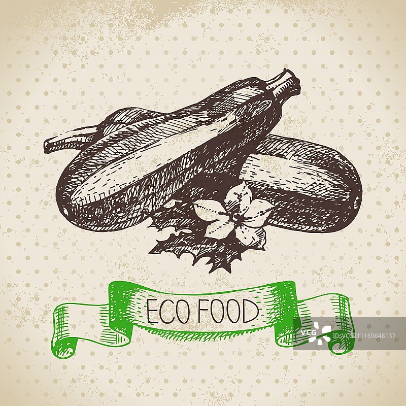 手绘蔬菜西葫芦，生态食品背景矢量图图片素材