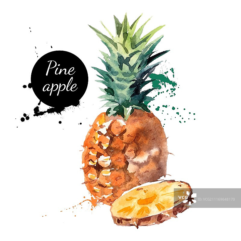 手绘水彩菠萝插画矢量图图片素材