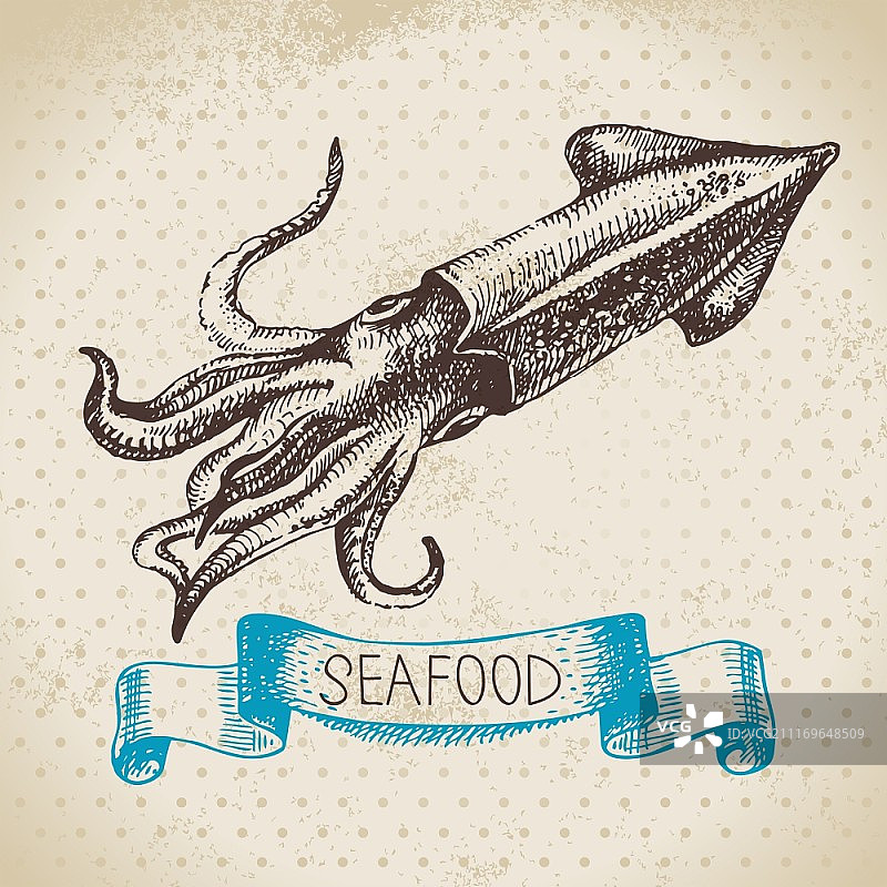 复古海洋背景手绘鱿鱼海鲜矢量插画图片素材