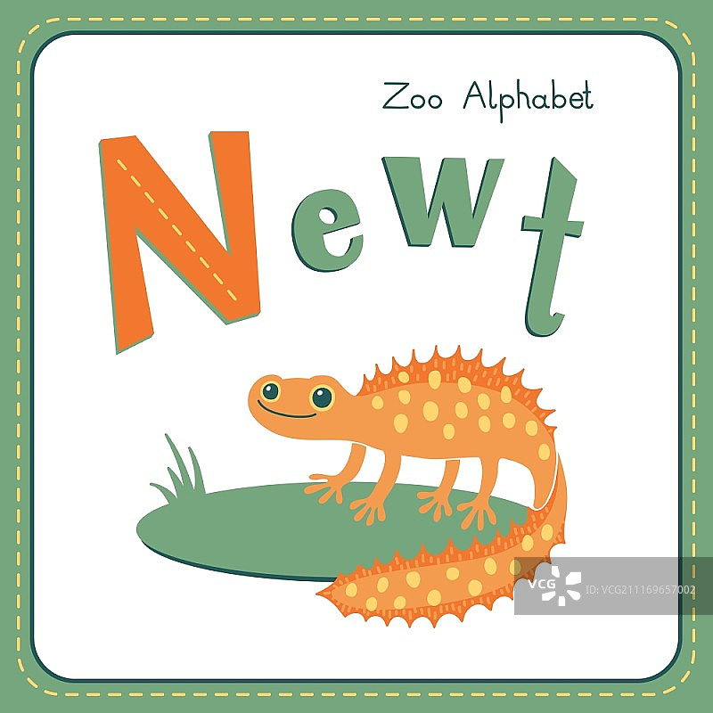 N字母 - 蝾螈：带有可爱动物的字母表矢量图。本系列的其他字母可在我的作品集中找到。图片素材
