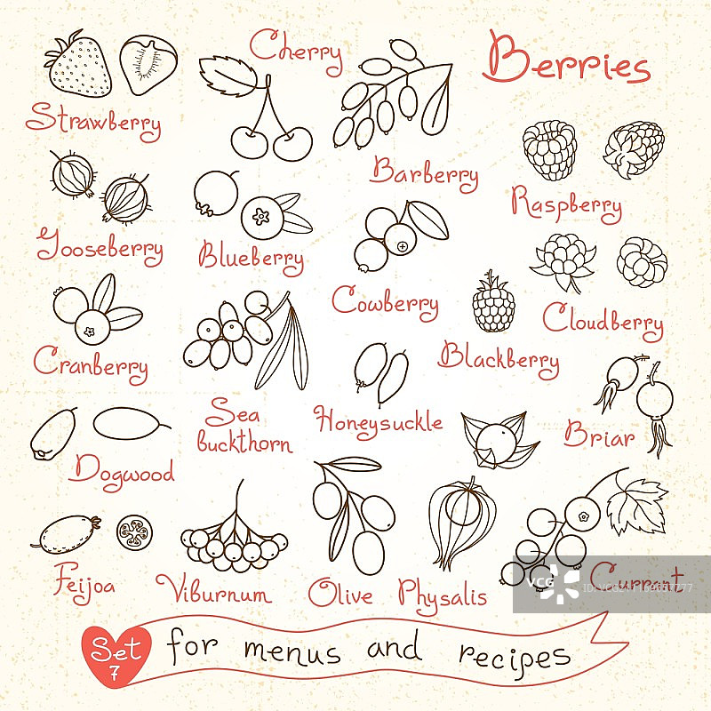 用于菜单、食谱和产品包装的浆果设计图片素材