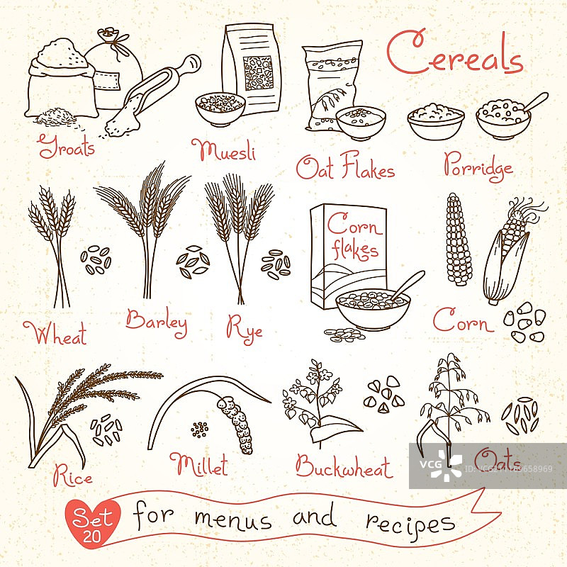 谷物设计菜单、食谱和包装手绘图：薄片、粗粮、粥、麦片、玉米片、燕麦、黑麦、小麦、大麦、小米、荞麦、稻米、玉米矢量素材图片素材