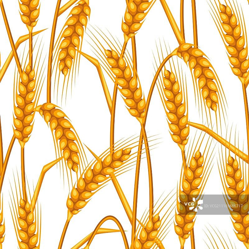 小麦无缝图案农业背景图片素材