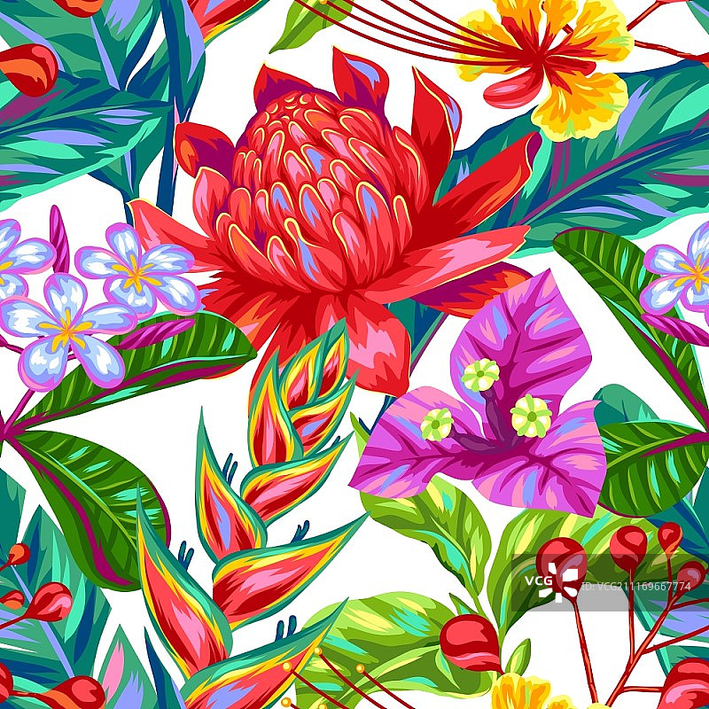 泰国花卉无缝图案：热带植物图片素材