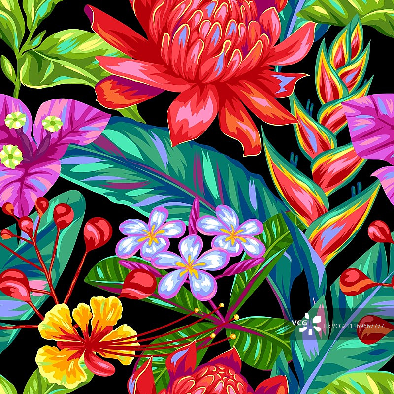 泰国花卉无缝图案：热带植物图片素材