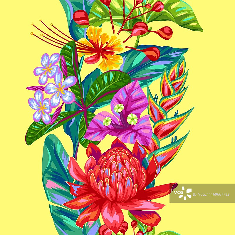 泰国花卉无缝图案：热带植物图片素材
