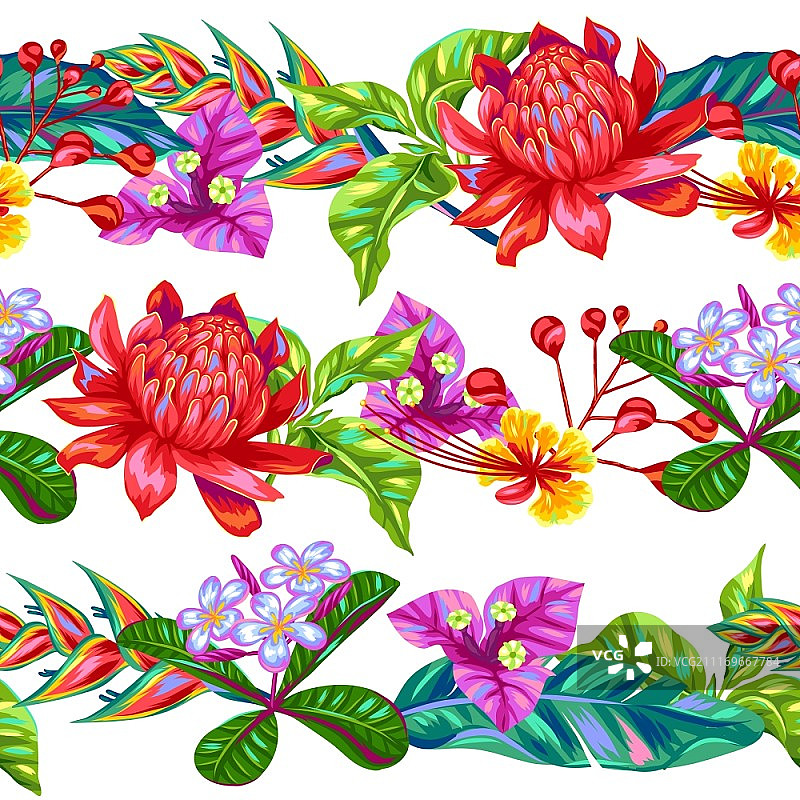 泰国花卉无缝图案：热带彩色植物、叶子和花蕾图片素材