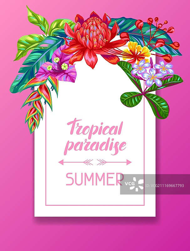 带有泰国花卉的邀请卡。热带多色植物、叶子和花蕾图片素材