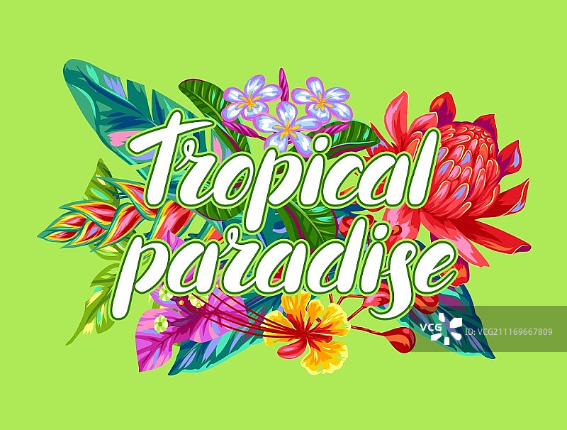 以泰国花卉为主题的印刷图案：热带多色植物、叶子和花蕾图片素材