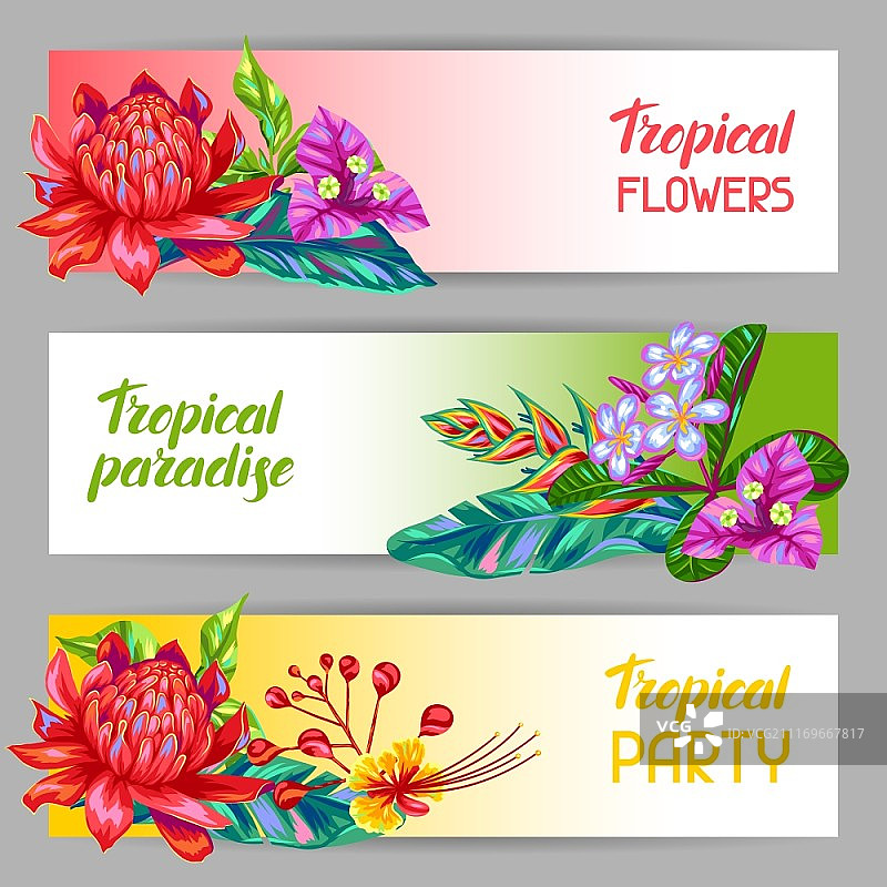 带有泰国花卉的banner：热带植物、叶子和花蕾图片素材