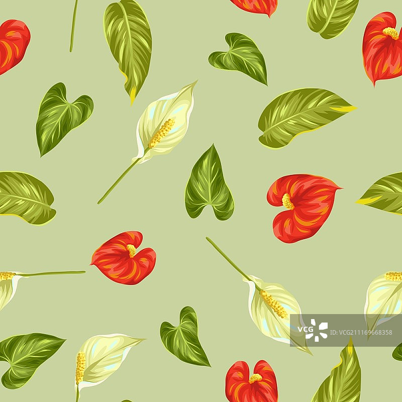 白鹤芋红掌花卉无缝图案图片素材