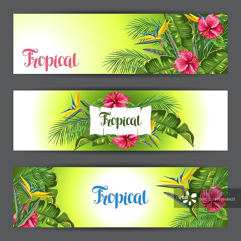 热带树叶和花卉banner，棕榈树枝，天堂鸟花，芙蓉花图片素材