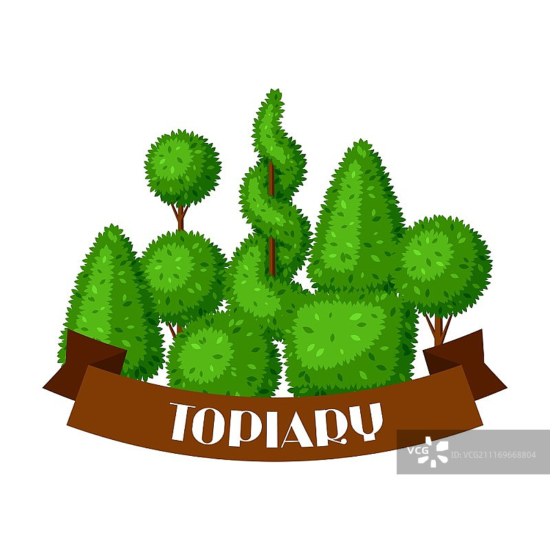 黄杨树造型园林植物背景图片素材