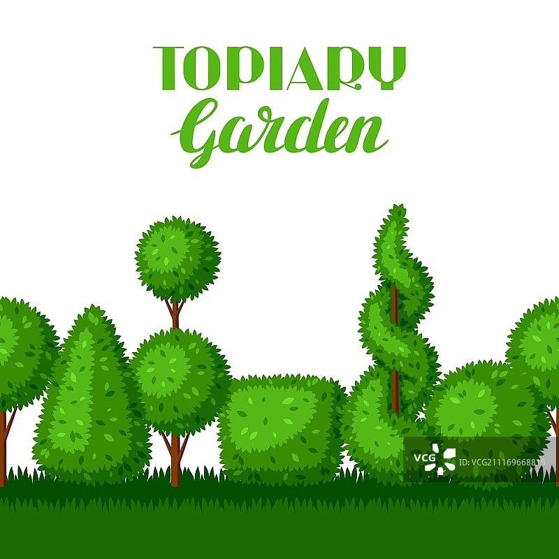 黄杨木园林植物无缝边框图片素材