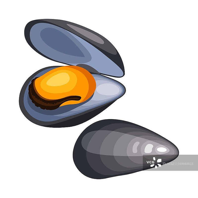 带壳贻贝。白色背景上孤立的海鲜插图图片素材