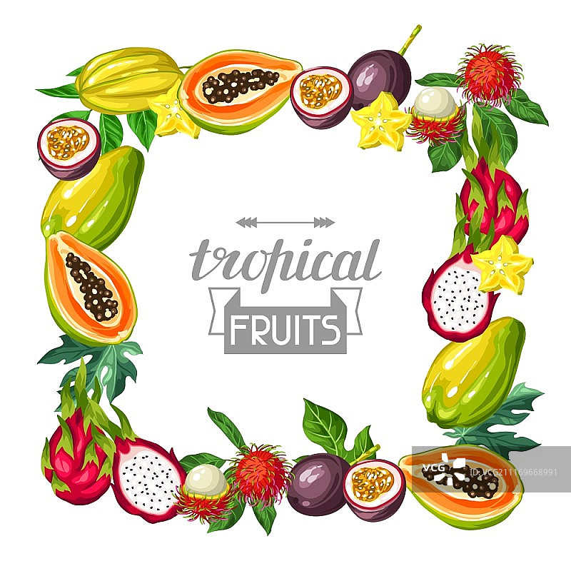 异域热带水果边框，亚洲植物插画图片素材