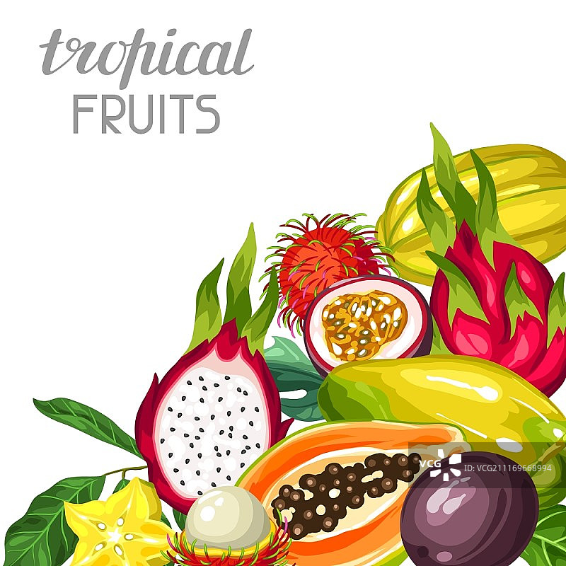 异域热带水果背景，亚洲植物插画图片素材
