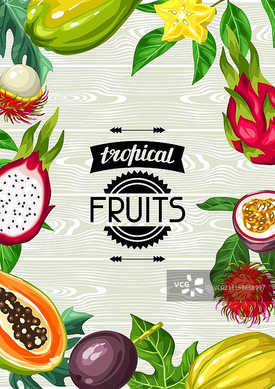 异域热带水果背景，亚洲植物插画图片素材