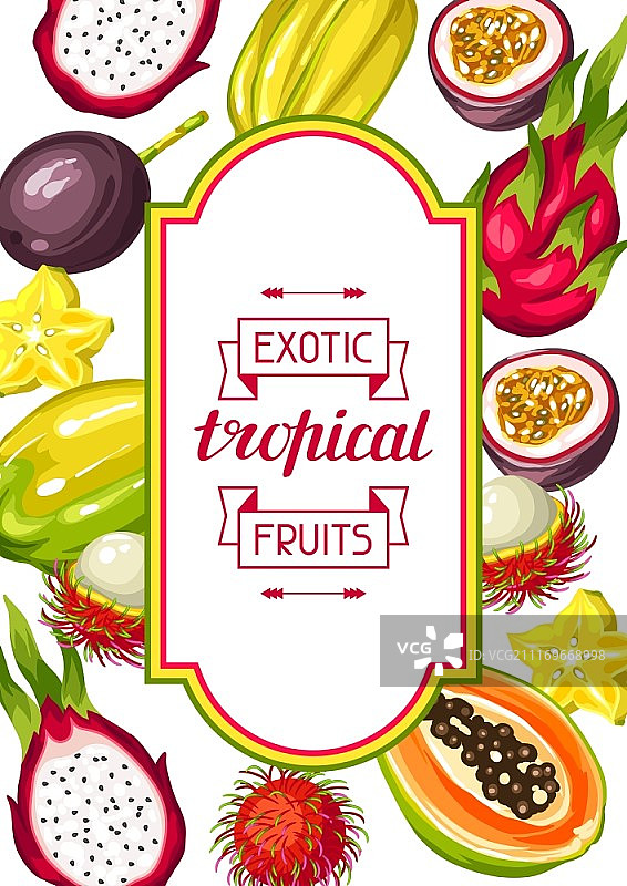 异域热带水果边框，亚洲植物插画图片素材