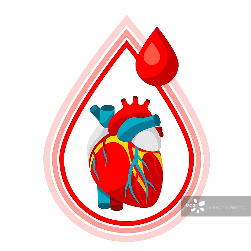 献血。人类心脏的医疗保健插图。献血。人类心脏的医疗保健插图。图片素材