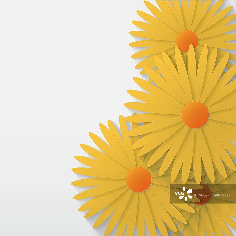 洋甘菊背景图片素材