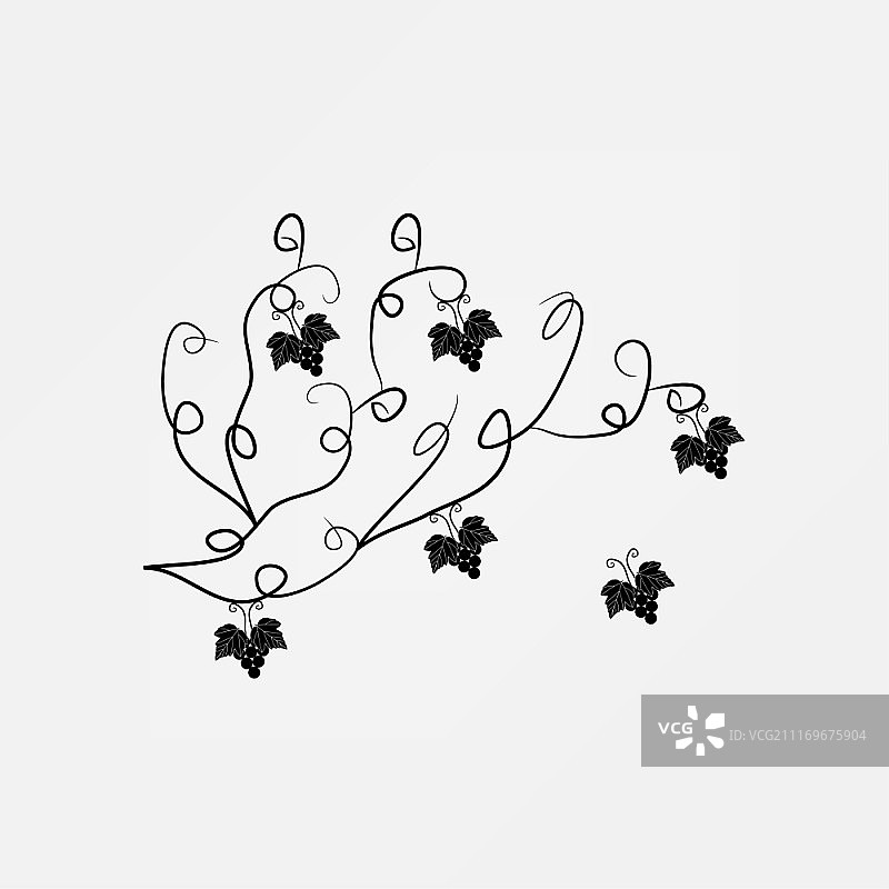 葡萄藤图标图片素材