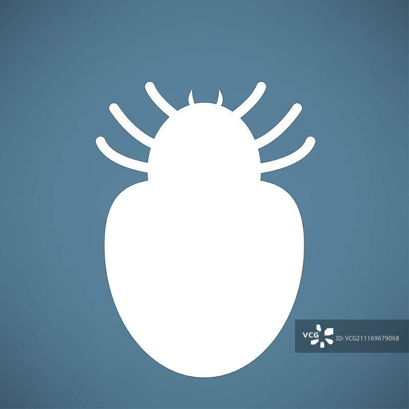 蜘蛛图标图片素材