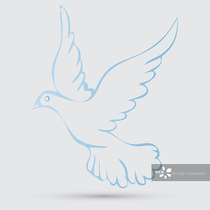 和平鸽图片素材