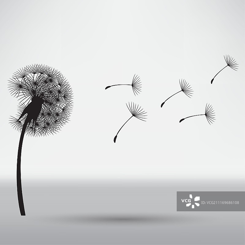 吹散的蒲公英图片素材