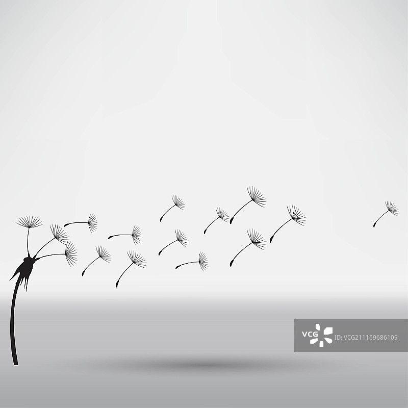 吹散的蒲公英图片素材