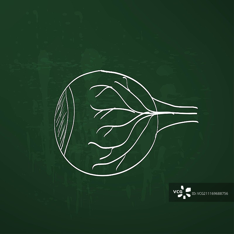 粉笔画在黑板上的眼睛解剖结构矢量图图片素材