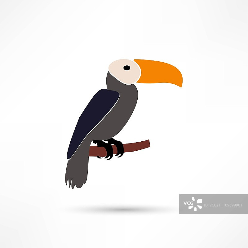 巨嘴鸟矢量图图片素材