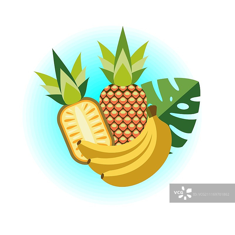 菠萝和香蕉矢量插画：热带多汁水果图片素材
