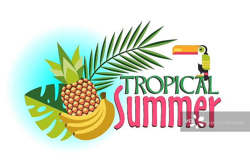 矢量插画：热带植物与异国情调的巨嘴鸟图片素材