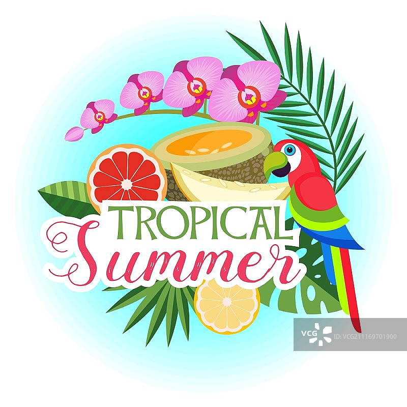 热带棕榈叶、异国情调的彩色鹦鹉、水果和鲜花矢量插画图片素材
