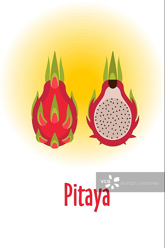 火龙果矢量插画图片素材