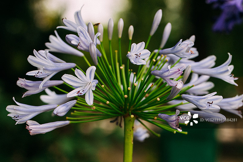自然图像图片素材